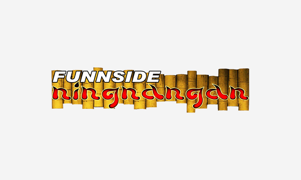 funnside logo