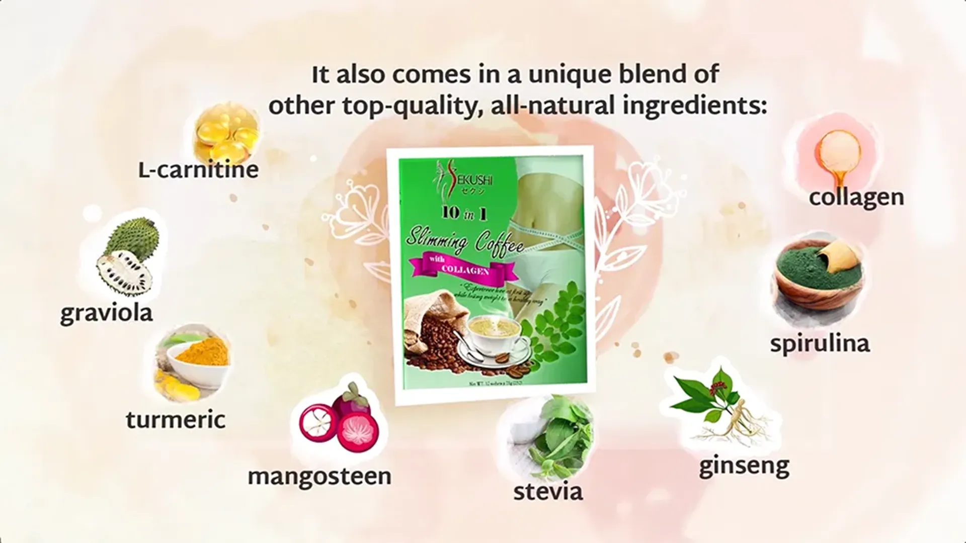 Sekushi Coffee Animation Moringa Coffee Ingredients
